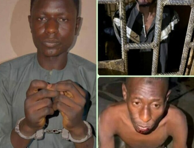 UPDATE: Murder of Seven in Kano - Police Arrest Nephew, Two Others