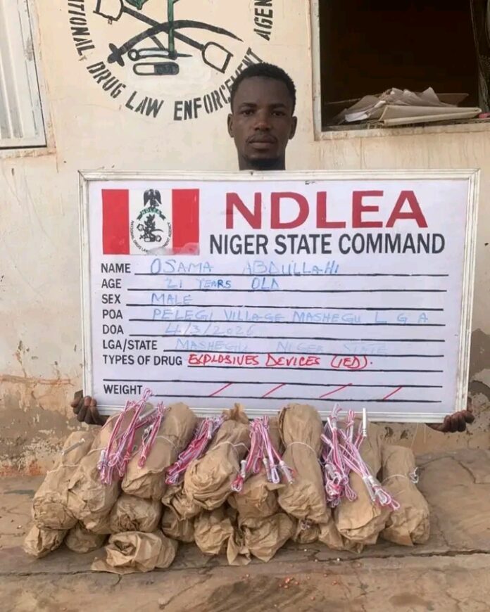 Ex-Lagos Councillor Arrested as NDLEA Seizes Drugs in Nationwide Operations