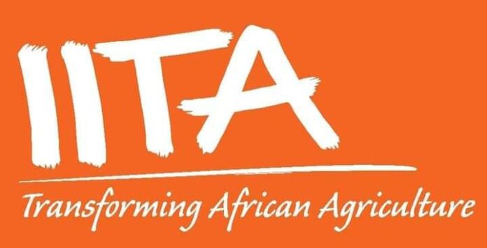 FG, IITA Partner to Train Six Million Nigerian Youths in Agriculture, Agribusiness