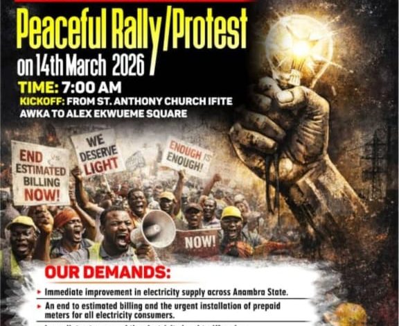 Police Caution Against Anambra Power Protest, Organisers Refuse to Back Down