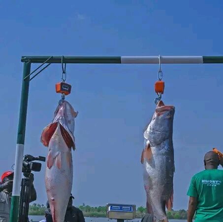 Tinubu Express Commitment To Diversify Economy Through Tourism