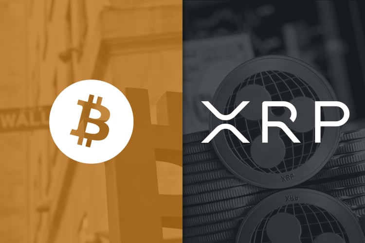 Bitcoin, Stablecoins, or XRP? Which Leads for New Crypto Investors?