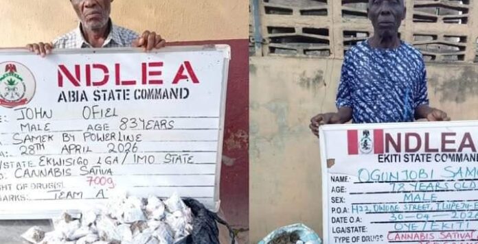 Two Grandfathers Among Suspects as NDLEA Intensifies Anti-Drug Operations 