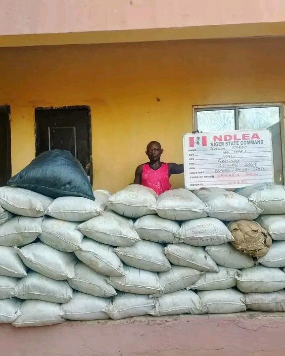 NDLEA Intercepts Hard Drugs Hidden in Water Purifiers, Seizes Over 1.2 Tonnes of Skunk in Kaduna