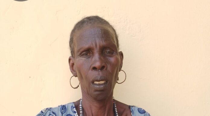Alleged Boko Haram/ISWAP Collaborator Caught Ferrying Supplies to Suspected Terror Son in Borno