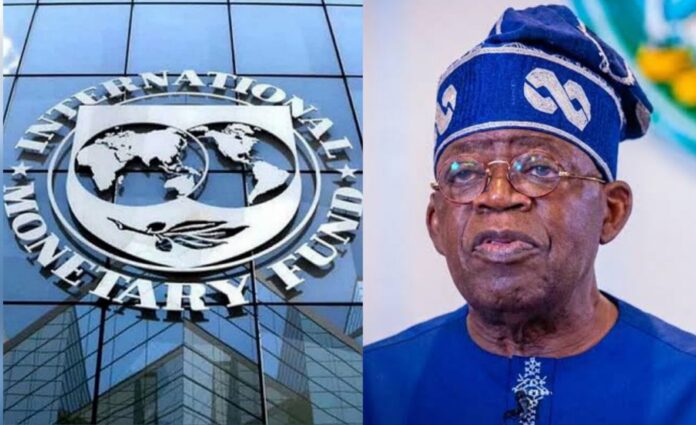 IMF Tax Proposal Sparks Backlash as Nigerians Reject Fresh Telecom and Fuel Levies