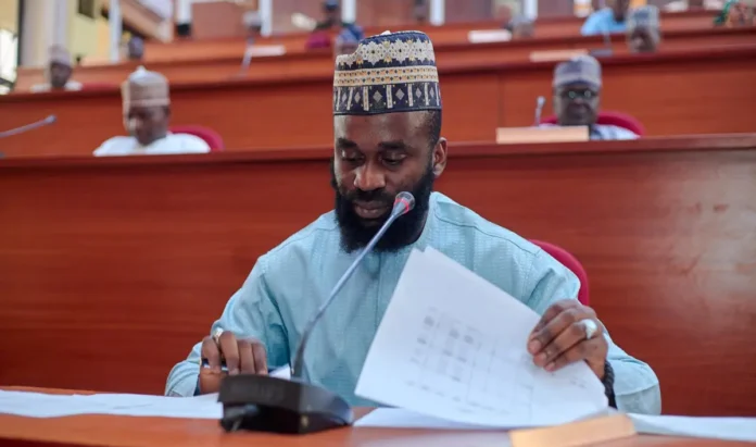 Govt alone can’t fund digital economy — NSITDEA DG calls for strategic partnerships