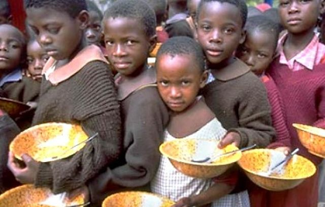 Borno In The Crosshairs: Un Warns Northeast Nigeria Dragged Into Highest-Risk Famine Zone