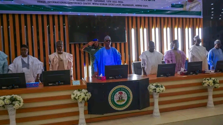 Governor Zulum Orders Strict Enforcement of Anti-Deforestation Laws in Borno
