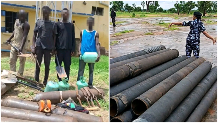 Nigeria Police Force arrested seven suspected members