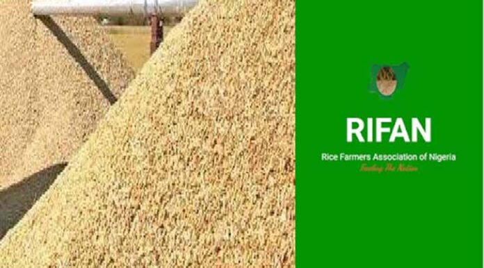 RIFAN urges FG to channel rice interventions through farmers' associations
