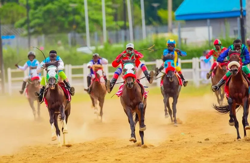 Horse Racing Federation to Expand Sport Beyond Northern Nigeria