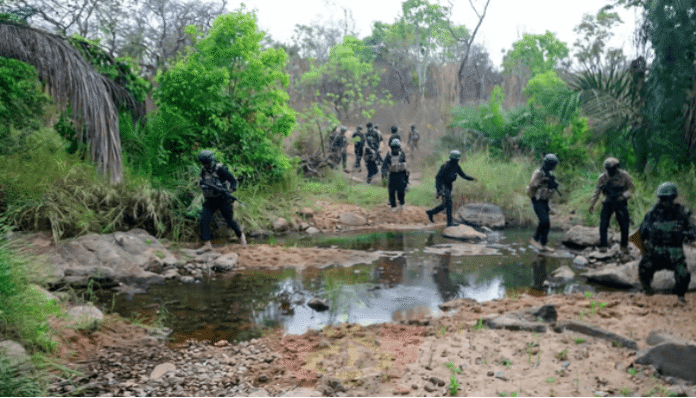 Over 40 Lakurawa Terrorists Killed in Zamfara Operation