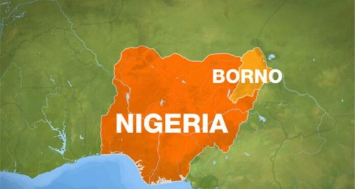 1000423460 Borno Tertiary Institutions Workers Urge Govt to Implement Academic Allowances