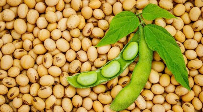 India Probes Soybean Cargoes Linked To Nigeria, Threatens 45% Tariff