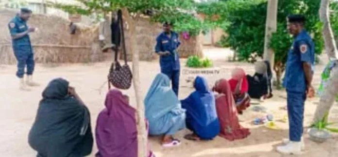Six Women Arrested as Yobe Hisbah Steps Up Moral Crackdown